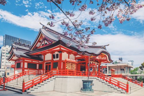 2018 朝日·九州游学—— 一緒に日本へ花見に行こう