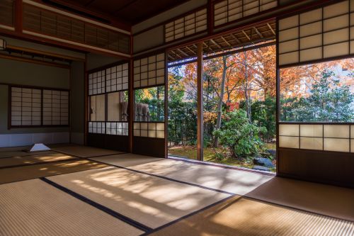日本相扑博物馆的珍贵收藏