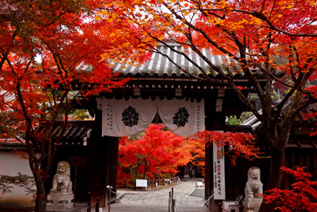 动漫改编剧《棋魂》，未在国外播出就已受到很多日本网友的喜爱
